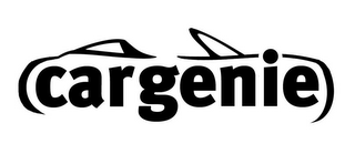 CAR GENIE logo