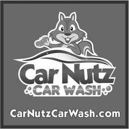 CAR NUTZ CAR WASH CARNUTZCARWASH.COM logo