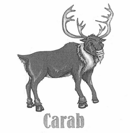 CARAB logo