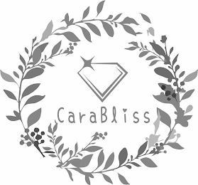 CARABLISS logo