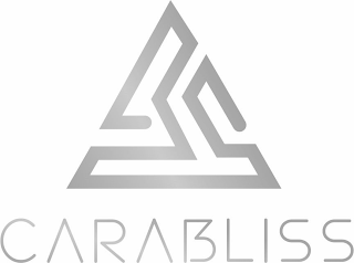 CARABLISS logo