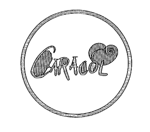 CARACOL logo