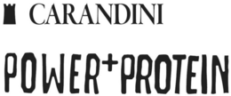 CARANDINI POWER+PROTEIN logo