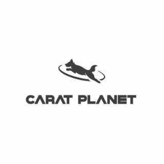 CARAT PLANET logo