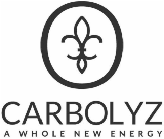 CARBOLYZ A WHOLE NEW ENERGY logo