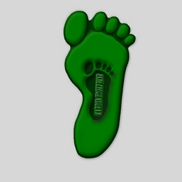 CARBON FOOTPRINT