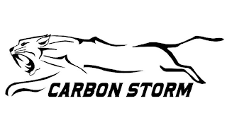 CARBON STORM logo
