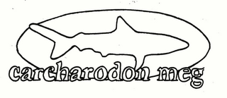 CARCHARADON MEG