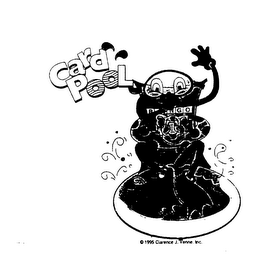 CARD POOL BINGO logo