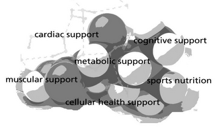 CARDIAC SUPPORT COGNITIVE SUPPORT METABOLIC SUPPORT MUSCULAR SUPPORT SPORTS NUTRITION CELLULAR HEALTH SUPPORT logo