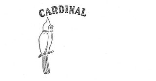 CARDINAL logo