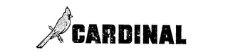 CARDINAL logo