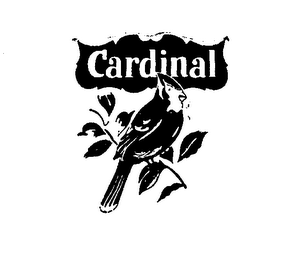CARDINAL logo