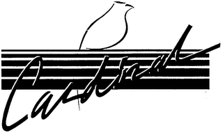 CARDINAL logo