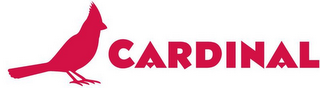 CARDINAL logo