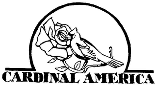 CARDINAL AMERICA logo
