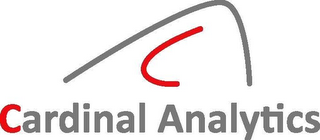CARDINAL ANALYTICS logo