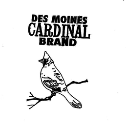 CARDINAL BRAND logo