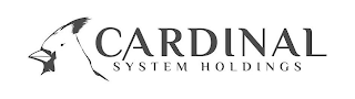 CARDINAL SYSTEM HOLDINGS logo