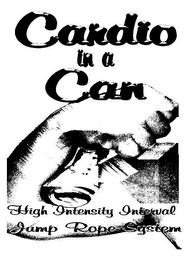 CARDIO IN A CAN HIGH INTENSITY INTERVAL JUMP ROPE SYSTEM logo