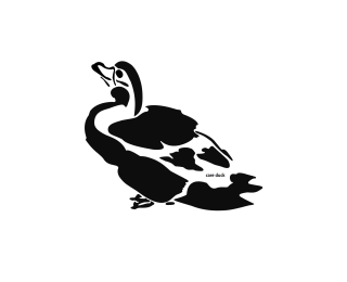 CARE DUCK logo