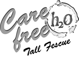 CARE FREE TALL FESCUE H2O logo
