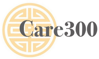 CARE300 logo