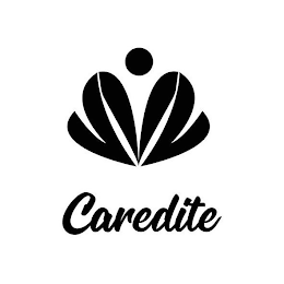 CAREDITE logo