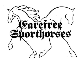 CAREFREE SPORTHORSES logo