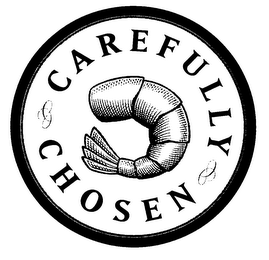 CAREFULLY CHOSEN logo