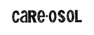 CARE.OSOL logo