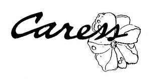 CARESS logo