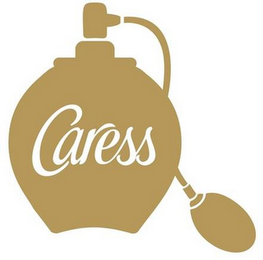 CARESS logo