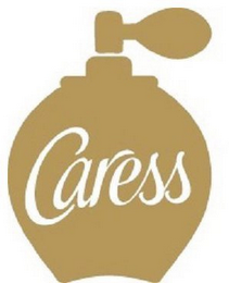 CARESS logo