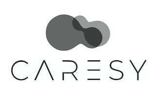 CARESY logo