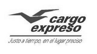 CARGO EXPRESO JUSTO A TIEMPO, EN EL LUGAR PRECISO logo