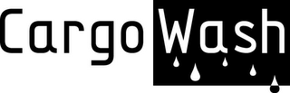 CARGO WASH logo