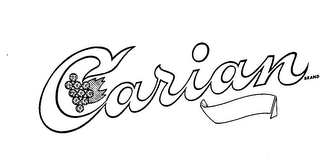 CARIAN BRAND logo