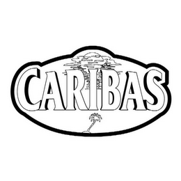 CARIBAS logo