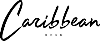 CARIBBEAN BRED logo