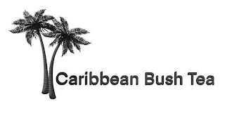 CARIBBEAN BUSH TEA logo