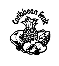 CARIBBEAN FRUIT logo