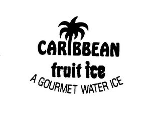 CARIBBEAN FRUIT ICE A GOURMET WATER ICE logo