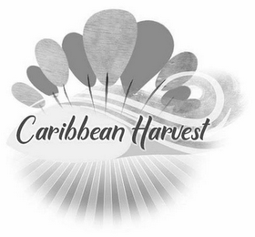 CARIBBEAN HARVEST logo