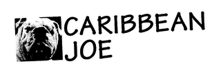 CARIBBEAN JOE