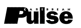 CARIBBEAN PULSE logo