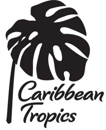 CARIBBEAN TROPICS logo