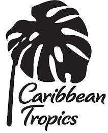CARIBBEAN TROPICS logo
