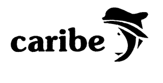 CARIBE logo