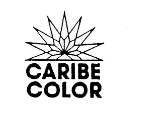 CARIBE COLOR logo